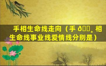 手相生命线走向（手 🌸 相生命线事业线爱情线分别是）